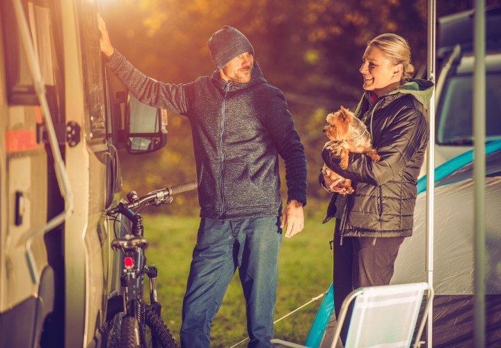 BIG4 Middleton Beach pet friendly on sites 3